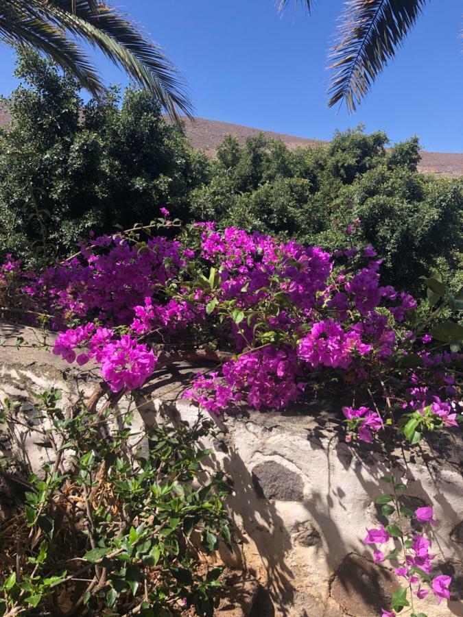 Los Tunos Campo Internacional Villa Maspalomas  Dış mekan fotoğraf